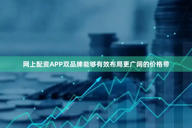 网上配资APP双品牌能够有效布局更广阔的价格带