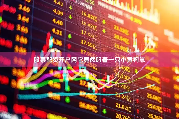 股票配资开户网它竟然叼着一只小黄狗崽