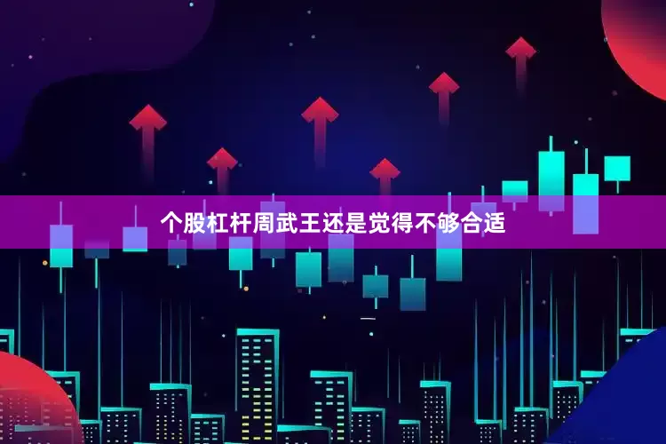 个股杠杆周武王还是觉得不够合适